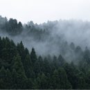 잘봄안경 이미지