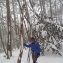 제주 올레길 19코스 이미지