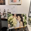 엔씨컴퍼니 | 웨딩 촬영 셀렉 후기📸 일몬도 스튜디오 비쥬얼컴퍼니엘엔씨