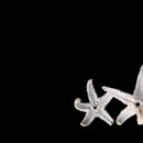 바다가고향 이미지