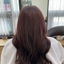 지은헤어 이미지