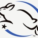 더미디어랩 | 내가 보려고 정리한 크루얼티프리 & 비건 화장품 리스트
