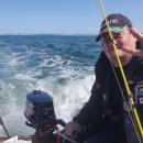 금호타이어 월산점 이미지