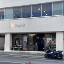 피키즈 도넛타임 | &lt;컵넛&gt; 부산 덕천역 카페 당일생산 도넛전문점 두바이도넛 솔직후기