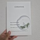 세라마인 마스크팩 추천 / 아쿠아 편백 마스크팩