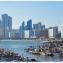 황제 행정사사무소 이미지