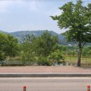 별채막국수 이미지