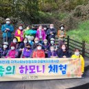 숲속의하모니 이미지