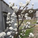 미석농장 이미지