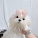 아리하우스 이미지