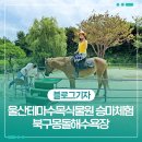 남목역사누리길 | 울산테마수목식물원 승마체험&amp;북구몽돌해수욕장까지 하루 힐링 코스