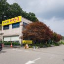 장지리 진한 해장국