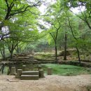동천조경