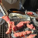 경도갈비