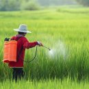 김영수농장 | 케이올 팜케어건 20L로 하루 10만 원 인건비 절약?