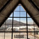 럿지(Lodge) | 양주 신상 대형 카페 LODGE(럿지) 방문 후기