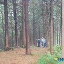 산림청 '청태산 치유의 숲' 개장 서비스 시작 이미지