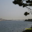 을숙도 철새공원 이미지