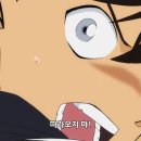 부지런한개미 이미지