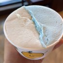 양양 '배배젤라또' 후기｜배밭뷰 젤라또 맛집, 무료 기념사진까지