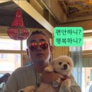카카오 이미지