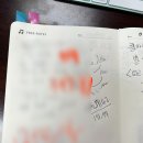 [미국 인턴] 미국 일상 32 - 패서디나, 귀국준비, 클라이밍, 크리스마스 준비