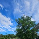 승양농장 이미지