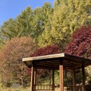 상학주차장 이미지