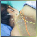 음양오행한의원 이미지