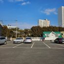 체리프루너스힐