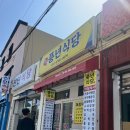속초 청초호 맛집] 시원한 오징어 해장국이 맛있는 풍년식당 | 아침식사 해장 가능 | 내돈내산 현지인...