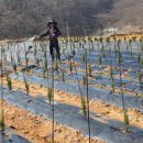 유계리 농장 이미지