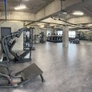 민트고래 이미지