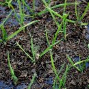 기쁨뜨락농장 이미지