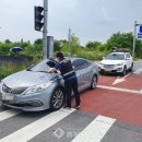 주정차-20 이미지