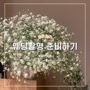 wedding 준비 #11 스튜디오 촬영 D-1 준비하기