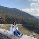 미씨헤어샵 | [동성로 미용실] 온헤어 2호점, 다솜쌤 3년간 헤어스타일 변천사