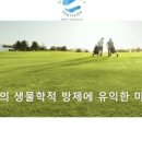 주식회사 더팜 이미지