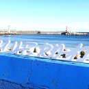 칠보산 온천리조트 이미지