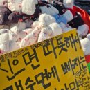 떼헤브 이미지