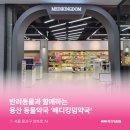 용산오늘약국 이미지