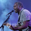 Smoking Gun / Robert Cray 이미지