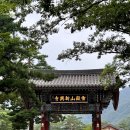 청출어람 - 서구 | 청출어람