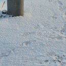 락휴 코인노래연습장 동성로점 | 도대체 뭘 자꾸 처하라는 건지 난 이미 처하고 있는데