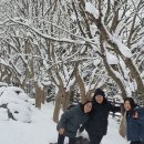 명동산장펜션 이미지