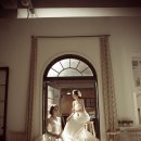 비비드블랑 이미지