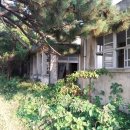 반도 태양광발전소 이미지