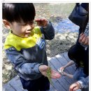 회인초교 병설유치원 이미지