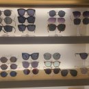 채플린안경콘택트도청점 위드렌즈 이미지