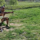 오이도선사유적공원(주차장) 이미지